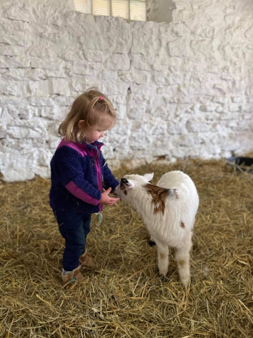 A Little Girl With a White Fur Goat Beside